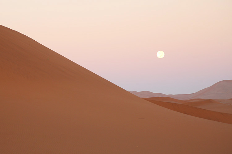 ナミブ砂漠　デッドフレイ