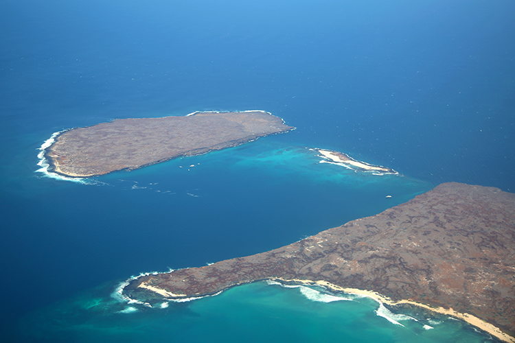 ガラパゴス諸島　グアヤキル　Tame航空
