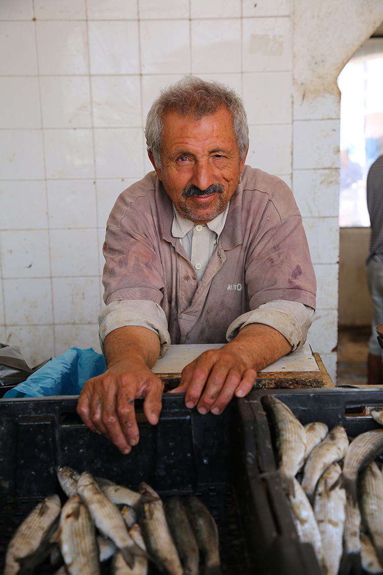 チュニジア　ジェルバ島　魚市場