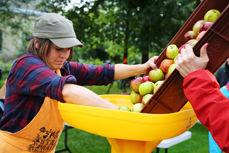 ルンド　収穫祭　りんご祭り　スウェーデン