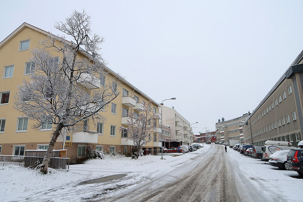 ノルウェーのナルヴィークで人生初のオーロラ爆発に遭遇！ 世界一周フォトたび