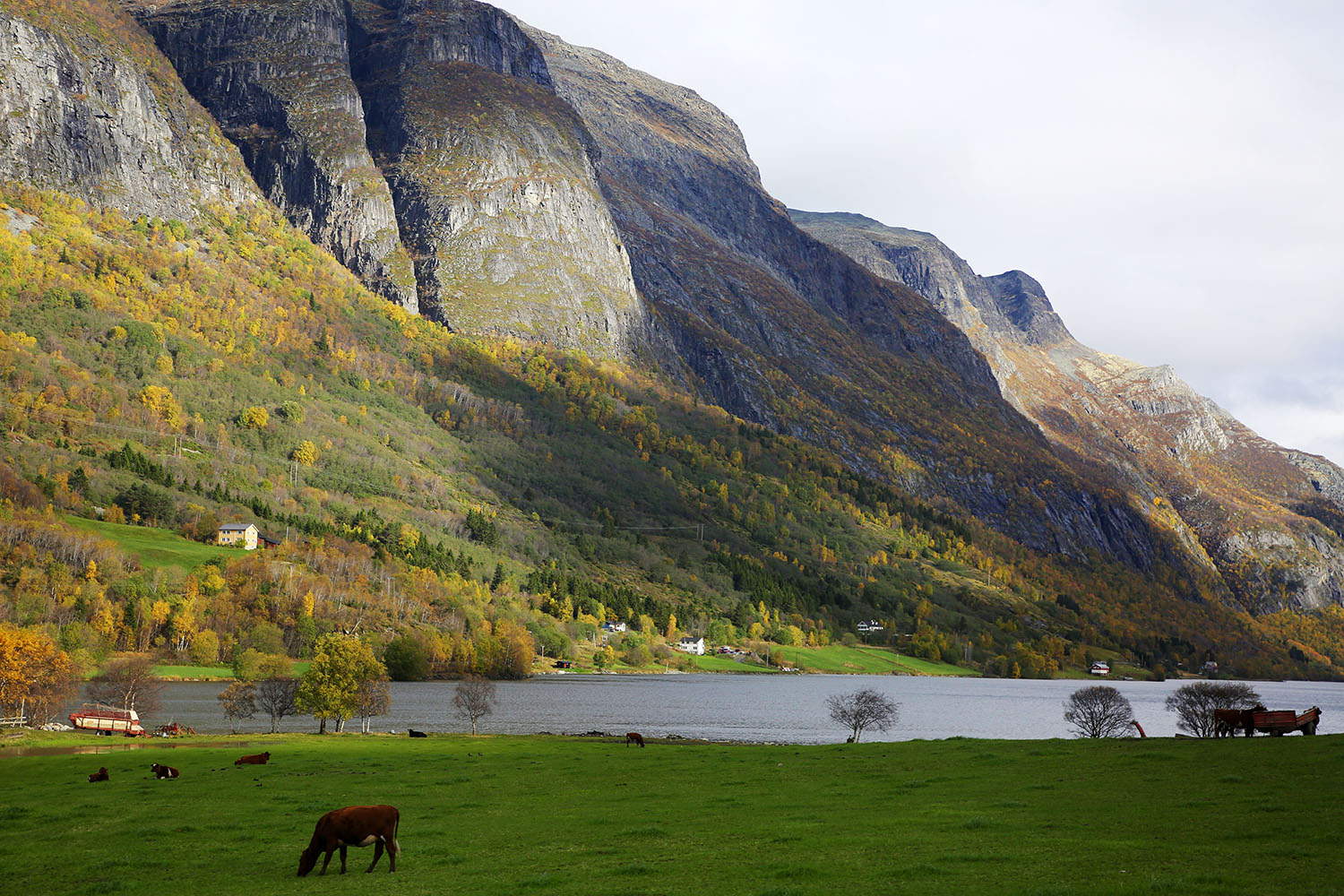ノルウェイの森の舞台はこんなイメージ？ 世界一周フォトたび