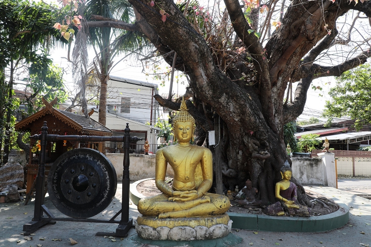 Wat Pan Whaen　チェンマイ